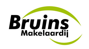 Logo van Bruins Makelaardij